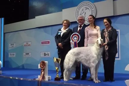 Câștigătorul de 3 zile Eurasia 2017 Rusă Borzoi