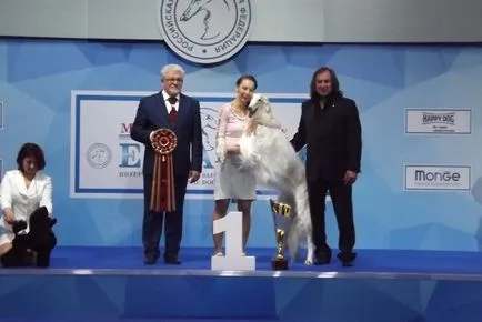 Câștigătorul de 3 zile Eurasia 2017 Rusă Borzoi