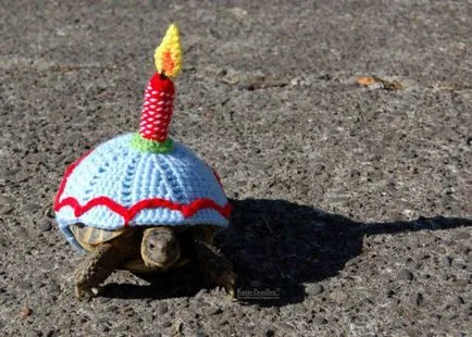 12 невероятни факти, които се крият костенурката под черупката си (8 снимки 4 хифа)