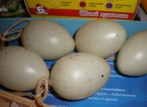 Suporturi pentru ouă de Paști, cu propriile sale mâini
