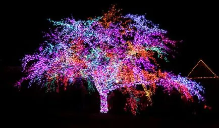 Háttérvilágítás LED fák