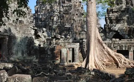 A nyomvonal - Lara Croft Ta Prohm - Angkor, felszívódik a dzsungelben