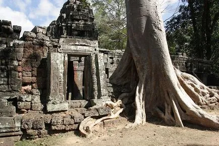 A nyomvonal - Lara Croft Ta Prohm - Angkor, felszívódik a dzsungelben