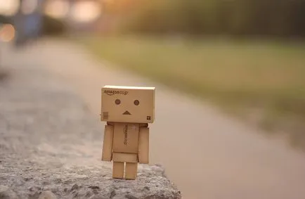 Omul Aventuri carton Danbo