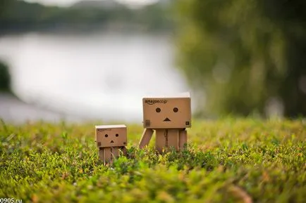 Omul Aventuri carton Danbo