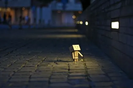 Omul Aventuri carton Danbo