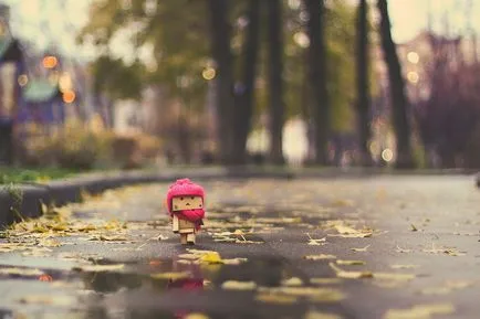 Omul Aventuri carton Danbo