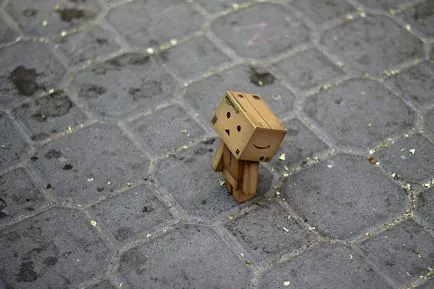 Omul Aventuri carton Danbo