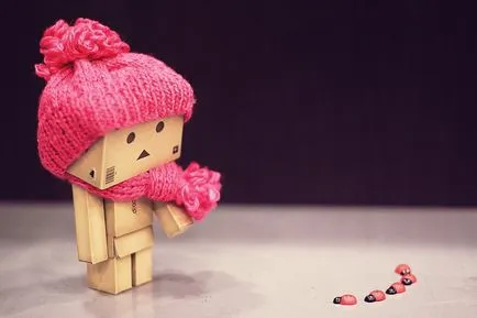 Omul Aventuri carton Danbo