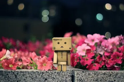 Omul Aventuri carton Danbo