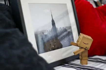 Omul Aventuri carton Danbo