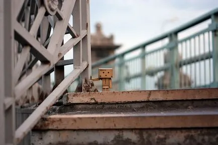 Omul Aventuri carton Danbo