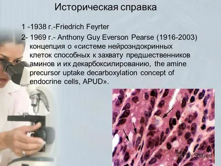 Előadás a diffúz neuroendokrin rendszer Sirenko Olga Yurevna Dnepropetrovsk