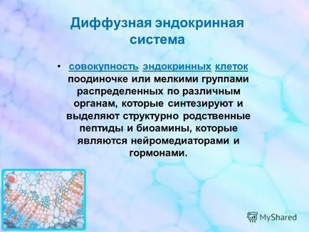 Előadás a diffúz neuroendokrin rendszer Sirenko Olga Yurevna Dnepropetrovsk