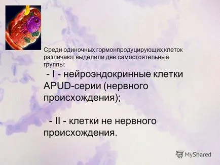 Előadás a diffúz neuroendokrin rendszer Sirenko Olga Yurevna Dnepropetrovsk