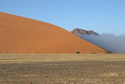 Namíb-sivatag Afrikában - sivatagi párásodik képek, növények, miért alakult, és mi okozta