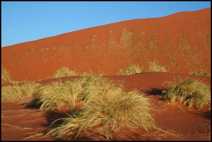 Deșertul Namib în Africa - deșert cețuri fotografie, plante, de ce sa format și ceea ce a cauzat