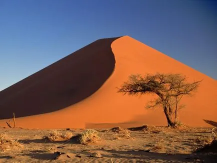 Namíb-sivatag Afrikában - sivatagi párásodik képek, növények, miért alakult, és mi okozta
