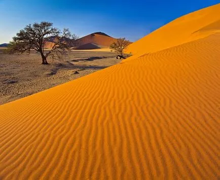 Namíb-sivatag Afrikában - sivatagi párásodik képek, növények, miért alakult, és mi okozta