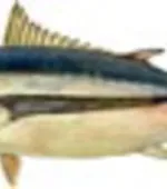 кров