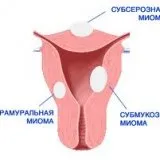 місячних