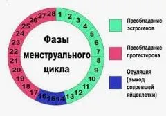 здоров'я