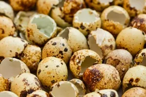 Корисна інформація про менструальному циклі жінки лікаря