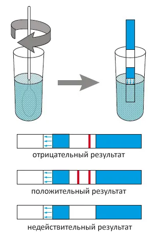 циклу