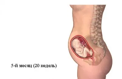 Перед клімаксом як йдуть місячні кров