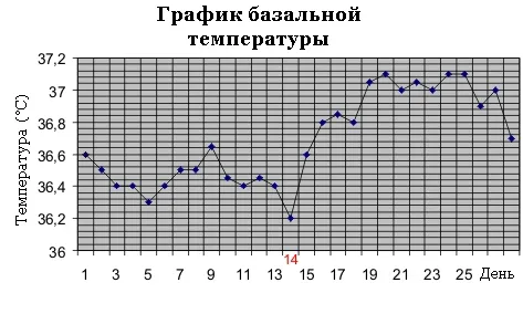 лікаря