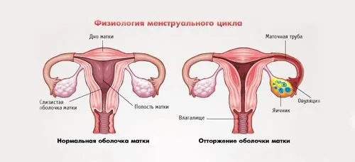 Із за чого затримка місячних кров