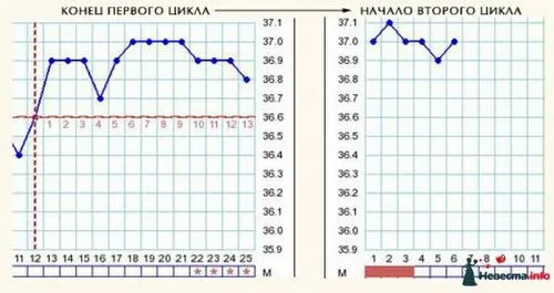 циклу