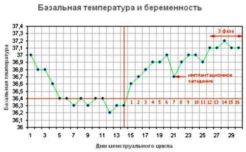 Базальна температура перед місячними, при вагітності проблеми з зачаттям