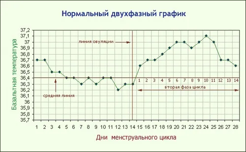 місячних