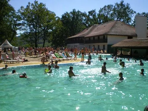організму