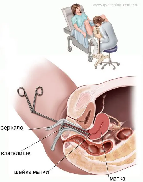 Кров'янисті виділення циклу