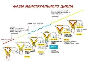Болі перед місячними (альгоменорея): причини, діагностика, лікування організму