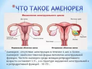 організму