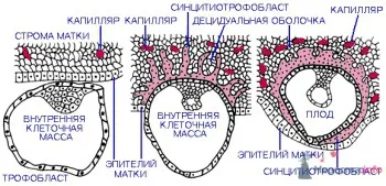 До місячних 2 3 дня - найкращий жіночий онлайн журнал можна