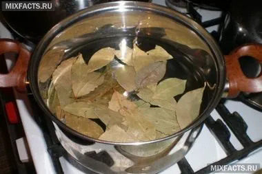 лікаря