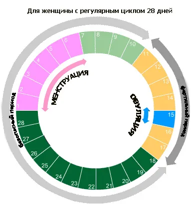 Безпечні дні після місячних місячних