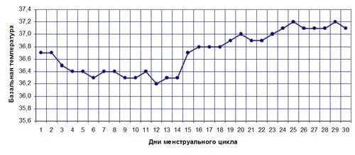 Коли можна завагітніти? як визначити