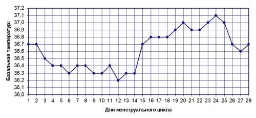 Коли можна завагітніти? циклу