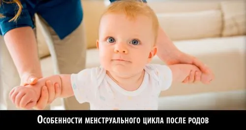 циклу