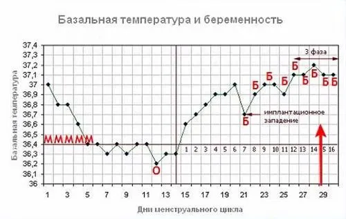 можна визначити вагітність до затримки