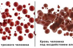 лікаря
