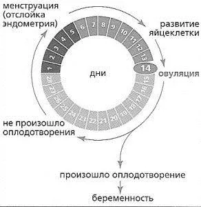 можна