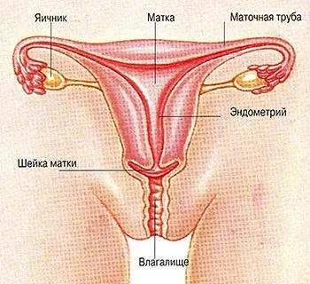 може