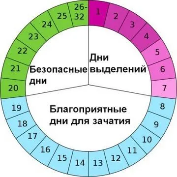 цикл
