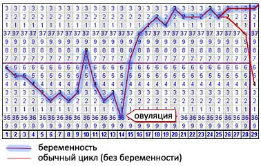 місячних